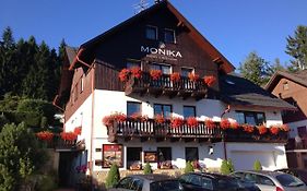 Pension And Apartments Monika